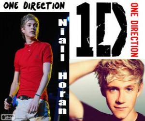 Puzzle Niall Horan, One Direction